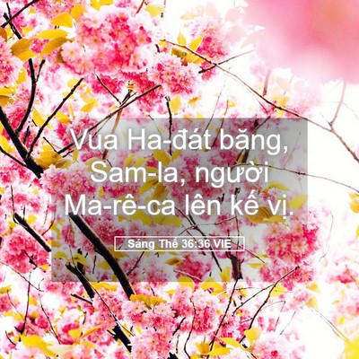 Picture 05 - Sáng Thế 36:36 VIE - Vua Ha-đát băng, Sam-la, người Ma-rê-ca - Bible Verse Picture