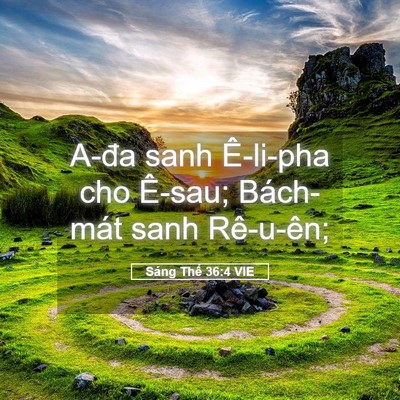 Picture 05 - Sáng Thế 36:4 VIE - A-đa sanh Ê-li-pha cho Ê-sau; Bách-mát sanh - Bible Verse Picture