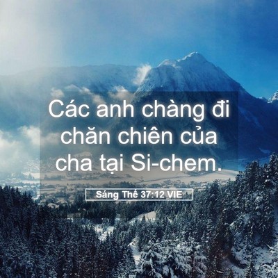 Picture 05 - Sáng Thế 37:12 VIE - Các anh chàng đi chăn chiên của cha tại - Bible Verse Picture