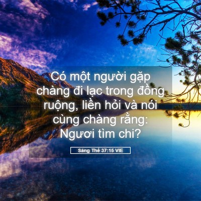 Picture 05 - Sáng Thế 37:15 VIE - Có một người gặp chàng đi lạc trong - Bible Verse Picture