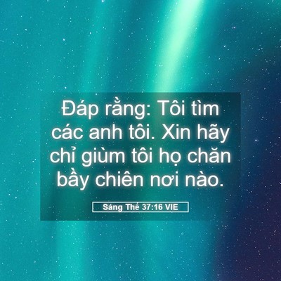 Picture 05 - Sáng Thế 37:16 VIE - Đáp rằng: Tôi tìm các anh tôi. Xin hãy - Bible Verse Picture
