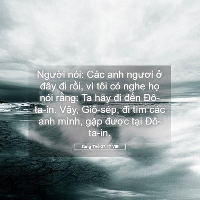 Picture 05 - Sáng Thế 37:17 VIE - Người nói: Các anh ngươi ở đây đi - Bible Verse Picture