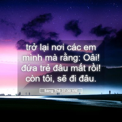Picture 05 - Sáng Thế 37:30 VIE - trở lại nơi các em mình mà rằng: Oâi! - Bible Verse Picture