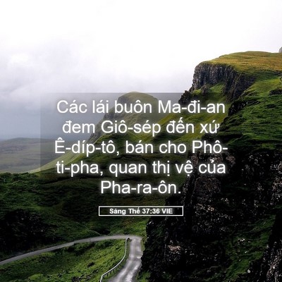 Picture 05 - Sáng Thế 37:36 VIE - Các lái buôn Ma-đi-an đem Giô-sép đến - Bible Verse Picture