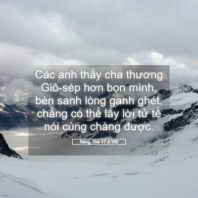 Picture 05 - Sáng Thế 37:4 VIE - Các anh thấy cha thương Giô-sép hơn bọn - Bible Verse Picture
