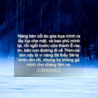 Picture 05 - Sáng Thế 38:14 VIE - Nàng bèn cổi áo góa bụa mình ra lấy - Bible Verse Picture