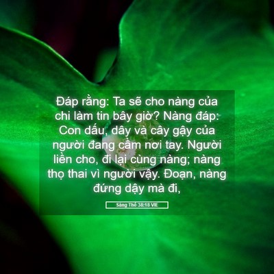 Picture 05 - Sáng Thế 38:18 VIE - Đáp rằng: Ta sẽ cho nàng của chi làm - Bible Verse Picture