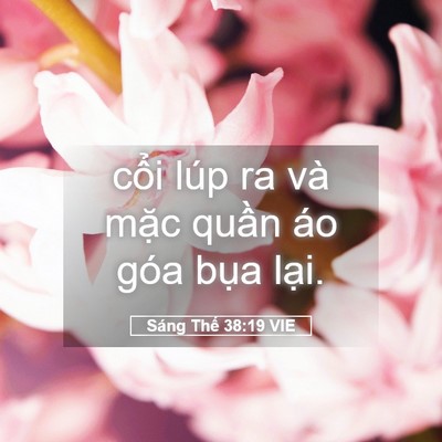 Picture 05 - Sáng Thế 38:19 VIE - cổi lúp ra và mặc quần áo góa bụa - Bible Verse Picture