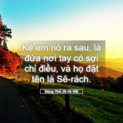 Picture 05 - Sáng Thế 38:30 VIE - Kế em nó ra sau, là đứa nơi tay có sợi - Bible Verse Picture