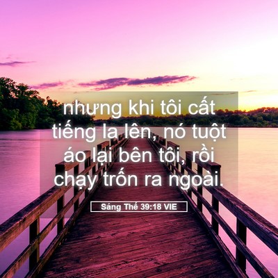 Picture 05 - Sáng Thế 39:18 VIE - nhưng khi tôi cất tiếng la lên, nó tuột - Bible Verse Picture