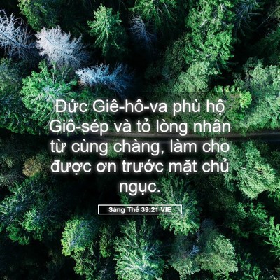 Picture 05 - Sáng Thế 39:21 VIE - Đức Giê-hô-va phù hộ Giô-sép và tỏ - Bible Verse Picture