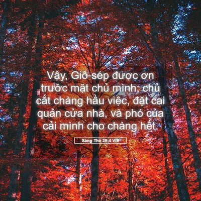 Picture 05 - Sáng Thế 39:4 VIE - Vậy, Giô-sép được ơn trước mặt - Bible Verse Picture