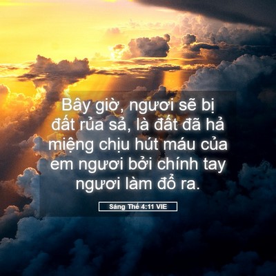 Picture 05 - Sáng Thế 4:11 VIE - Bây giờ, ngươi sẽ bị đất rủa sả, - Bible Verse Picture
