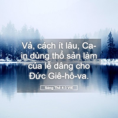 Picture 05 - Sáng Thế 4:3 VIE - Vả, cách ít lâu, Ca-in dùng thổ sản - Bible Verse Picture
