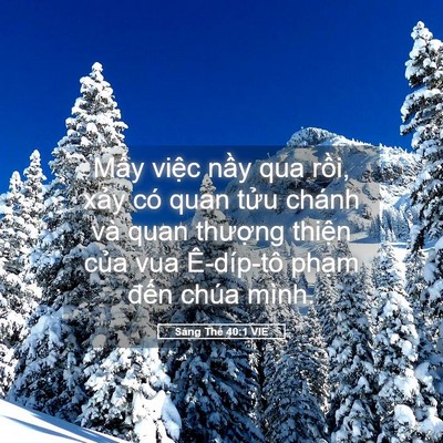 Picture 05 - Sáng Thế 40:1 VIE - Mấy việc nầy qua rồi, xảy có quan - Bible Verse Picture
