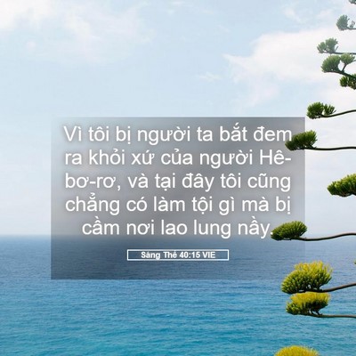 Picture 05 - Sáng Thế 40:15 VIE - Vì tôi bị người ta bắt đem ra khỏi - Bible Verse Picture