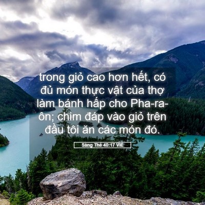 Picture 05 - Sáng Thế 40:17 VIE - trong giỏ cao hơn hết, có đủ món thực - Bible Verse Picture