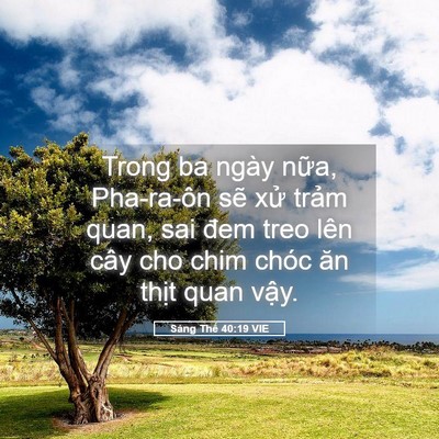 Picture 05 - Sáng Thế 40:19 VIE - Trong ba ngày nữa, Pha-ra-ôn sẽ xử trảm - Bible Verse Picture