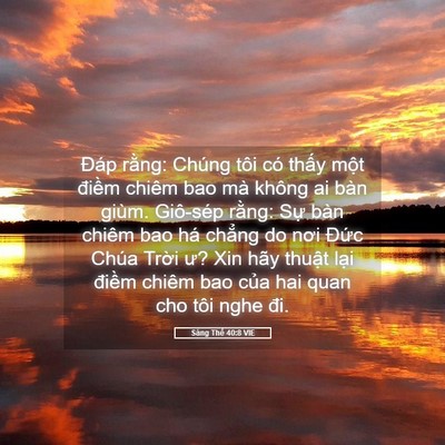Picture 05 - Sáng Thế 40:8 VIE - Đáp rằng: Chúng tôi có thấy một - Bible Verse Picture