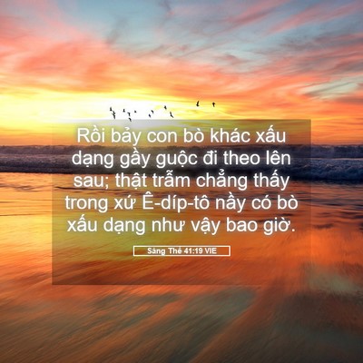 Picture 05 - Sáng Thế 41:19 VIE - Rồi bảy con bò khác xấu dạng gầy - Bible Verse Picture