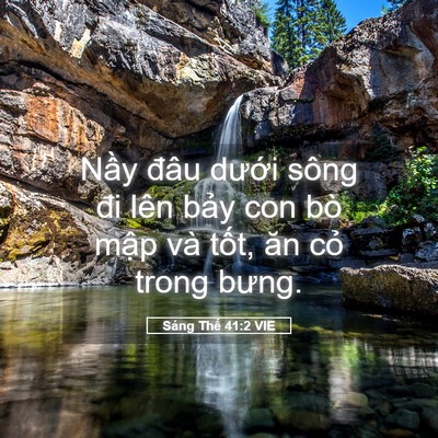 Picture 05 - Sáng Thế 41:2 VIE - Nầy đâu dưới sông đi lên bảy con bò - Bible Verse Picture