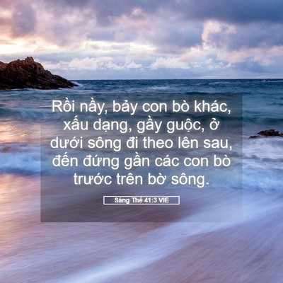 Picture 05 - Sáng Thế 41:3 VIE - Rồi nầy, bảy con bò khác, xấu dạng, - Bible Verse Picture