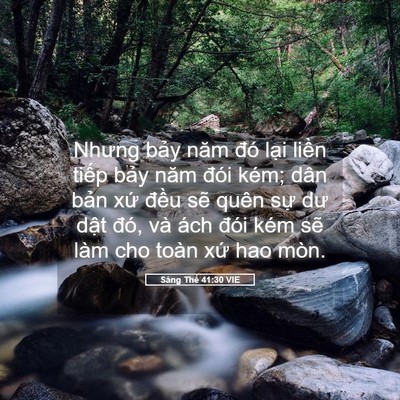 Picture 05 - Sáng Thế 41:30 VIE - Nhưng bảy năm đó lại liền tiếp bảy - Bible Verse Picture