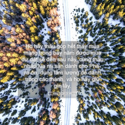 Picture 05 - Sáng Thế 41:35 VIE - Họ hãy thâu góp hết thảy mùa màng - Bible Verse Picture