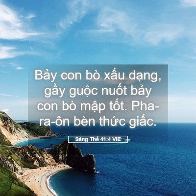 Picture 05 - Sáng Thế 41:4 VIE - Bảy con bò xấu dạng, gầy guộc nuốt - Bible Verse Picture