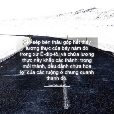 Picture 05 - Sáng Thế 41:48 VIE - Giô-sép bèn thâu góp hết thảy lương - Bible Verse Picture