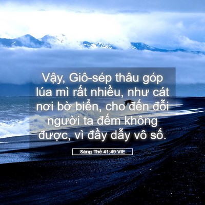 Picture 05 - Sáng Thế 41:49 VIE - Vậy, Giô-sép thâu góp lúa mì rất - Bible Verse Picture