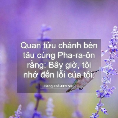 Picture 05 - Sáng Thế 41:9 VIE - Quan tửu chánh bèn tâu cùng Pha-ra-ôn - Bible Verse Picture