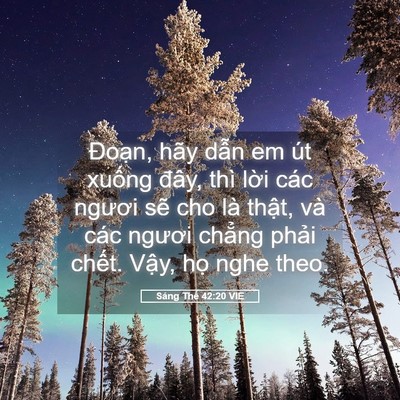 Picture 05 - Sáng Thế 42:20 VIE - Đoạn, hãy dẫn em út xuống đây, thì - Bible Verse Picture