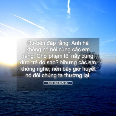 Picture 05 - Sáng Thế 42:22 VIE - Ru-bên đáp rằng: Anh há không có nói - Bible Verse Picture