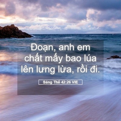 Picture 05 - Sáng Thế 42:26 VIE - Đoạn, anh em chất mấy bao lúa lên lưng - Bible Verse Picture