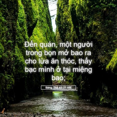Picture 05 - Sáng Thế 42:27 VIE - Đến quán, một người trong bọn mở bao - Bible Verse Picture