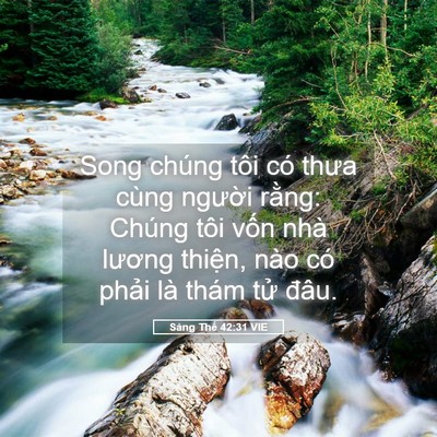 Picture 05 - Sáng Thế 42:31 VIE - Song chúng tôi có thưa cùng người rằng: - Bible Verse Picture
