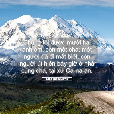 Picture 05 - Sáng Thế 42:32 VIE - Chúng tôi được mười hai anh em, con - Bible Verse Picture