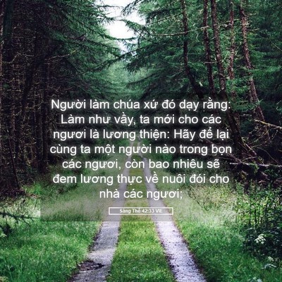 Picture 05 - Sáng Thế 42:33 VIE - Người làm chúa xứ đó dạy rằng: Làm - Bible Verse Picture