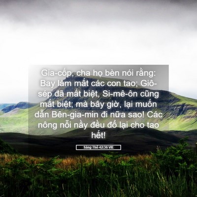 Picture 05 - Sáng Thế 42:36 VIE - Gia-cốp, cha họ bèn nói rằng: Bay làm - Bible Verse Picture