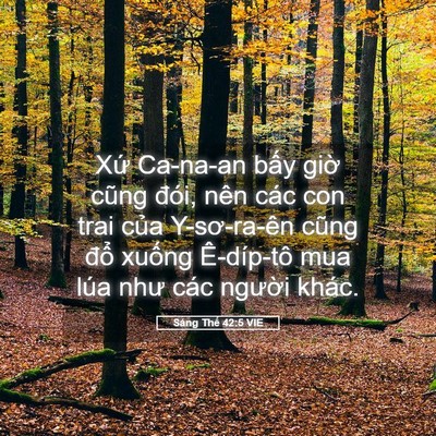Picture 05 - Sáng Thế 42:5 VIE - Xứ Ca-na-an bấy giờ cũng đói, nên các - Bible Verse Picture