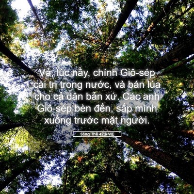 Picture 05 - Sáng Thế 42:6 VIE - Vả, lúc nầy, chính Giô-sép cai trị - Bible Verse Picture