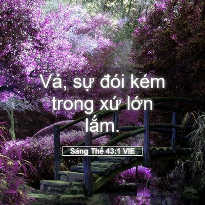 Picture 05 - Sáng Thế 43:1 VIE - Vả, sự đói kém trong xứ lớn - Bible Verse Picture