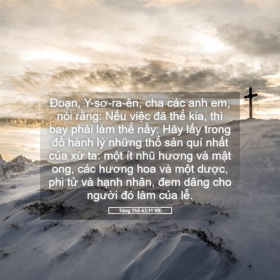 Picture 05 - Sáng Thế 43:11 VIE - Đoạn, Y-sơ-ra-ên, cha các anh em, nói - Bible Verse Picture