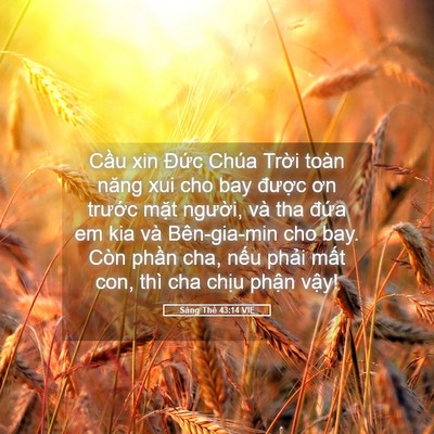 Picture 05 - Sáng Thế 43:14 VIE - Cầu xin Đức Chúa Trời toàn năng xui cho - Bible Verse Picture