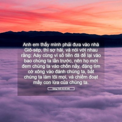 Picture 05 - Sáng Thế 43:18 VIE - Anh em thấy mình phải đưa vào nhà - Bible Verse Picture