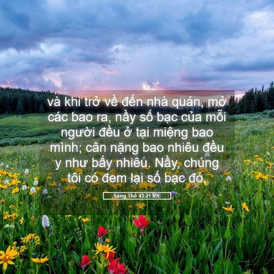 Picture 05 - Sáng Thế 43:21 VIE - và khi trở về đến nhà quán, mở các - Bible Verse Picture