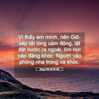 Picture 05 - Sáng Thế 43:30 VIE - Vì thấy em mình, nên Giô-sép tất lòng - Bible Verse Picture