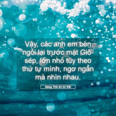 Picture 05 - Sáng Thế 43:33 VIE - Vậy, các anh em bèn ngồi lại trước - Bible Verse Picture