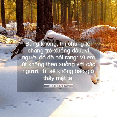 Picture 05 - Sáng Thế 43:5 VIE - Bằng không, thì chúng tôi chẳng trở - Bible Verse Picture
